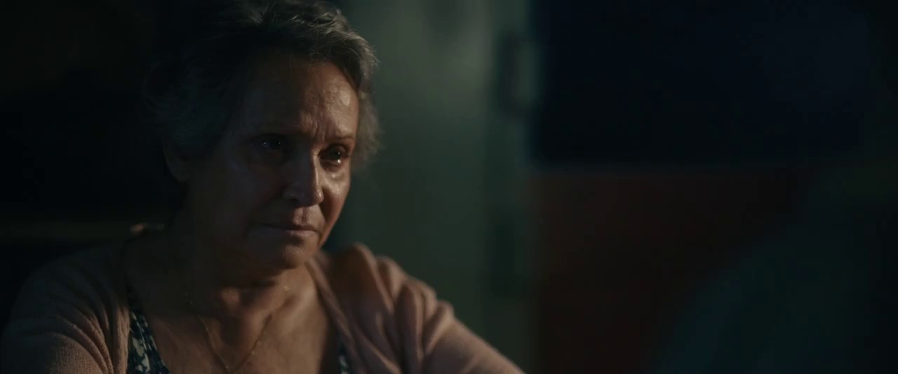 My Penguin Friend (2024) WEBRip English 720p x264 AVC AAC 2.0 ESub.mkv.0004